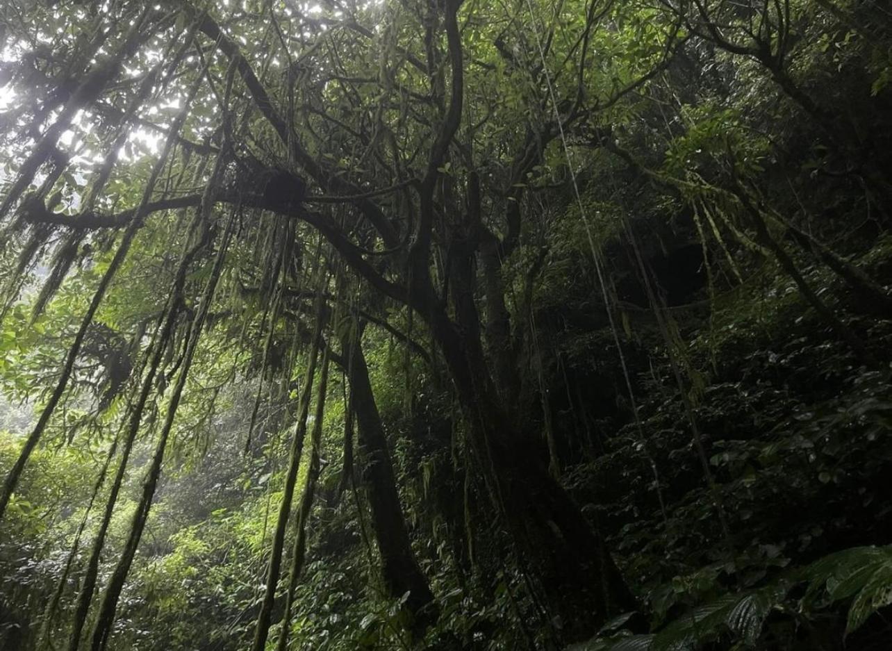 Opik Homestay Tete Batu Tetebatu Exterior foto