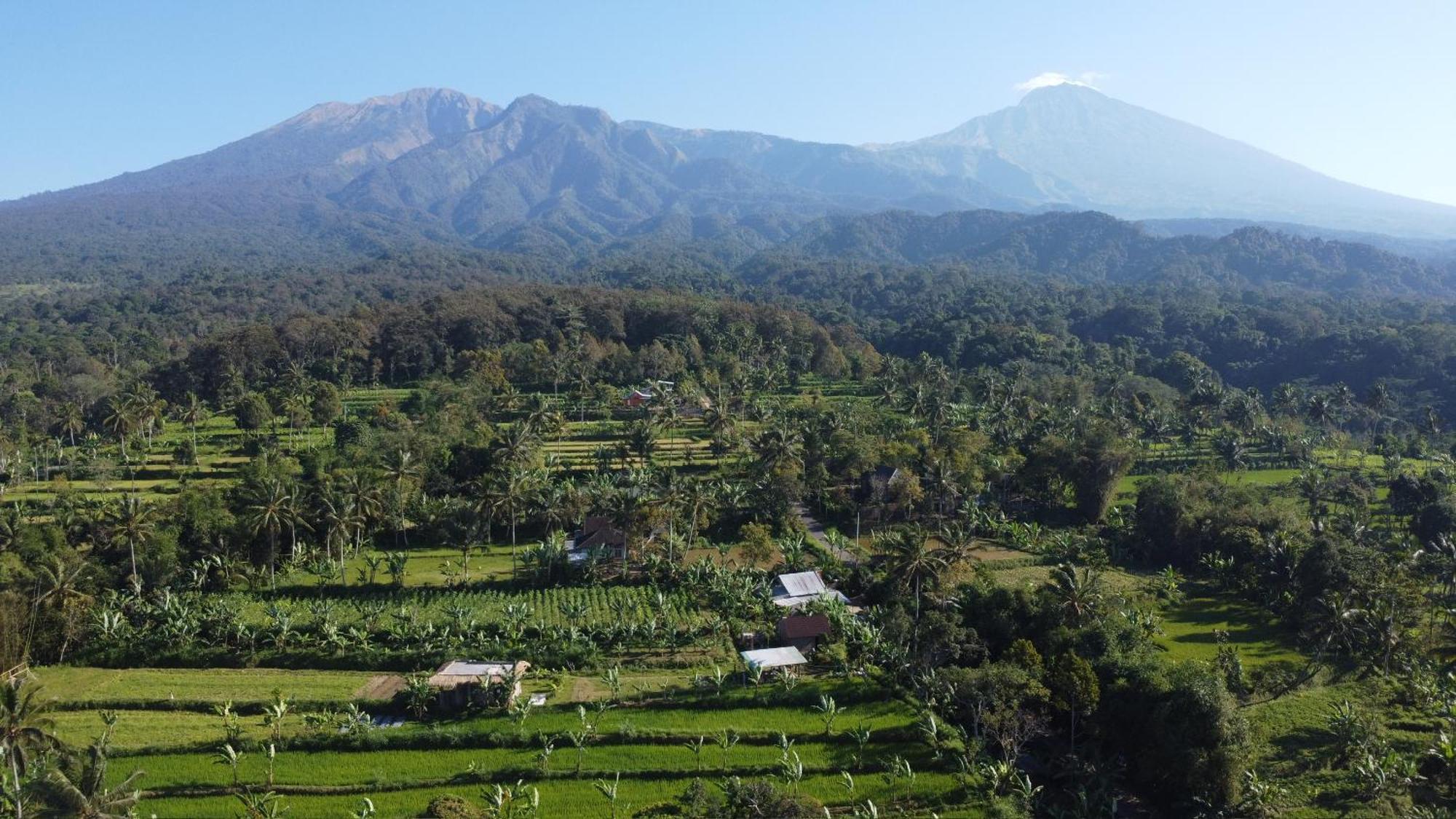 Opik Homestay Tete Batu Tetebatu Exterior foto