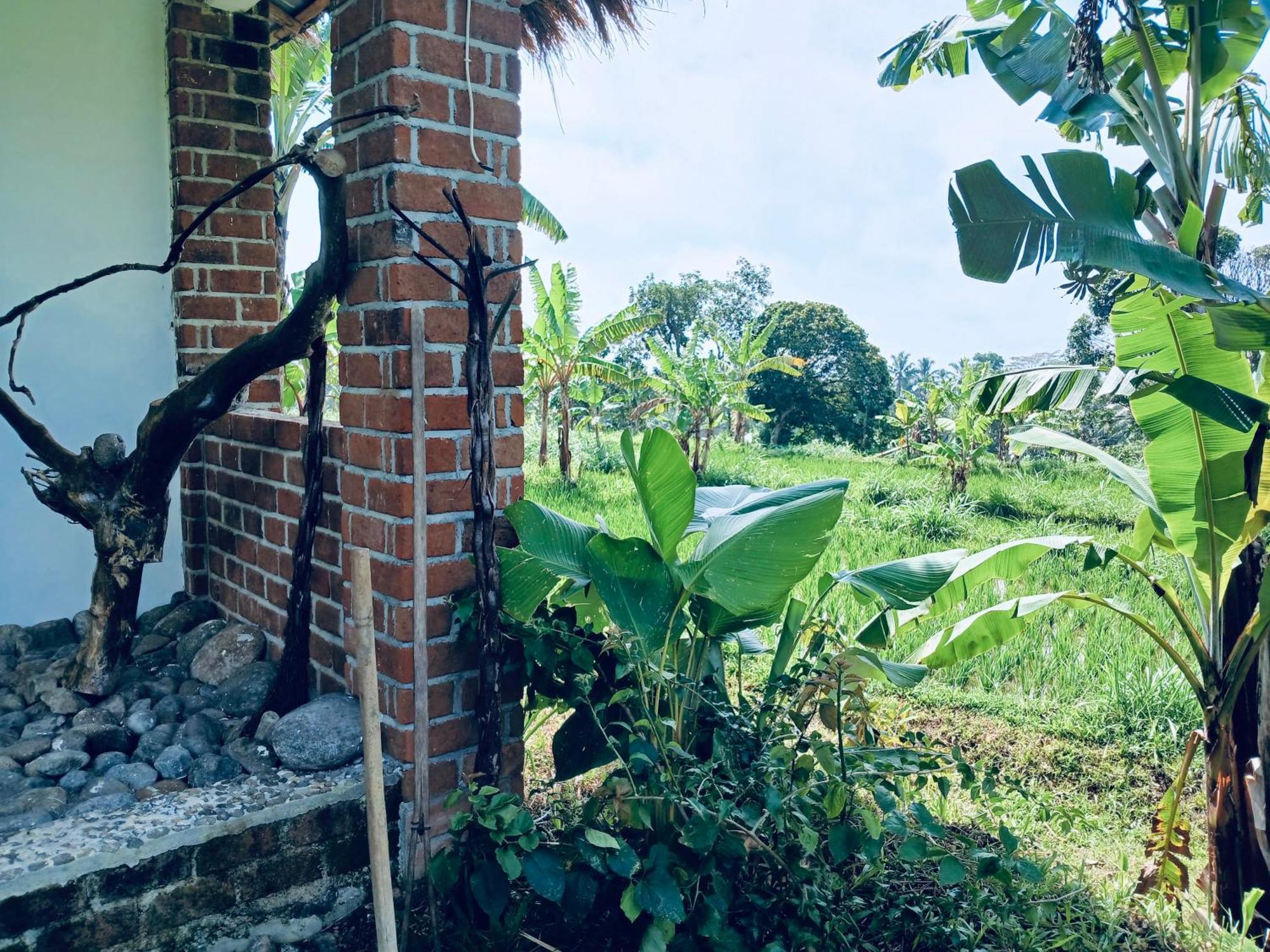 Opik Homestay Tete Batu Tetebatu Exterior foto