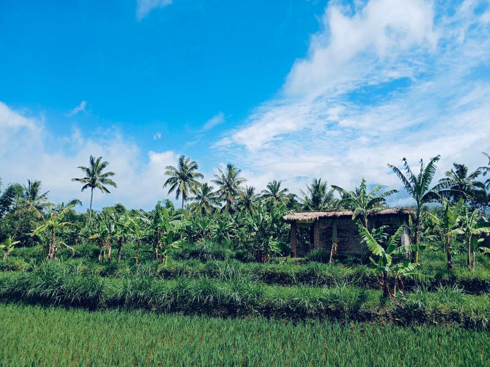 Opik Homestay Tete Batu Tetebatu Exterior foto